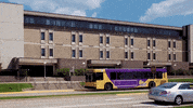 college go GIF by Western Illinois University