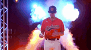 auburn tigers cws GIF by NCAA Championships