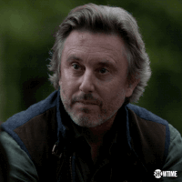 homeland GIF by Showtime