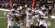 2018 Nfl Football GIF by NFL