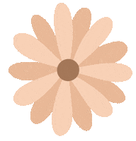 Flower Beige Sticker by AMARA Korean Beauty