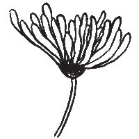 Art Floating Sticker by PatternBrazil