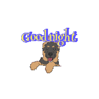 coldfeetdoodler night good night dream doggy Sticker