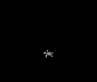Fernsinn Welt GIF by Fernsinn Welt - ReiseBeratung Anja Horn