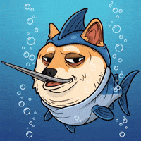 Shiba Inu Swimming GIF by Doge Pound