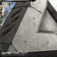 Battle Royale Rondo GIF by Official PUBG MOBILE