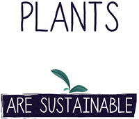 livekindlyco vegan sustainability vegetarian veggie GIF