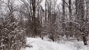 First Snowfall of Season Brings Wintry Scene to Ontario