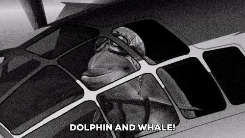 whale dolphin GIF by South Park 