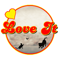 Pimp123 Sticker by Pimp Yo Pets