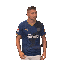 2 Bundesliga Football Sticker by Holstein Kiel