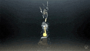 Loop Collide GIF by Xbox
