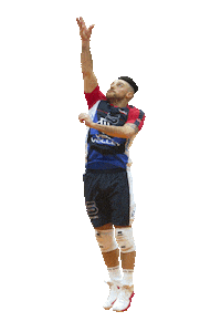 Volleyball Sticker by Vero Volley Monza