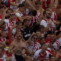 1 Fc Cologne Football GIF by 1. FC Köln