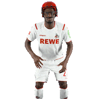 American Football Nfl Sticker by 1. FC Köln