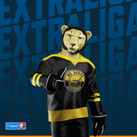 Hockey Hokej GIF by Tipsport extraliga