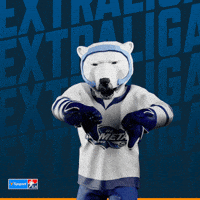 Hockey Hokej GIF by Tipsport extraliga