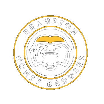 BramptonHoneyBadgers basketball nba ball bball Sticker