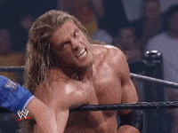 wwe sports wwe wrestling summerslam GIF