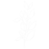 Flower Line Sticker by Sálvora Store