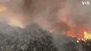 wildfire australia fires australia fire GIF