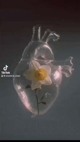 Love Bomb Flower GIF by Chemical Sister