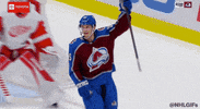 Ice Hockey Sport GIF by NHL