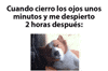 horas minutos GIF
