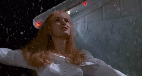 Dantoalvarez giphygifmaker GIF