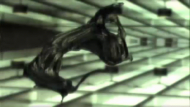 Cyberpunk GIF by Komplex
