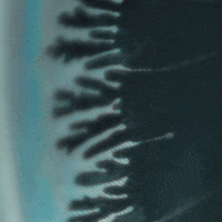 glitch GIF by Liaizon Wakest