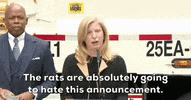 New York City Nyc GIF by GIPHY News