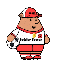 Football Soccer Sticker