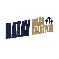 Hatayayağakalkıyor Sticker by Hataybsb