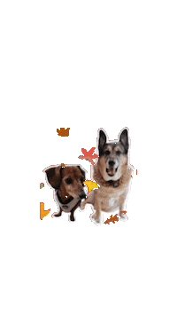 Libberty Dogs Sticker by Caravan of Paws