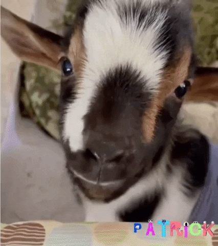 maybelarts giphygifmaker GIF