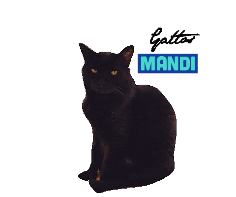 Mandi Catslovers Sticker by Gattos CV