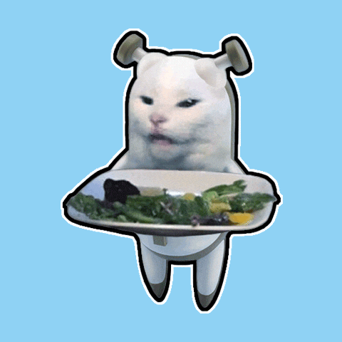 Shocked Cat GIF