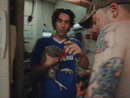 Chicken Shop Amelia GIF by WHATMORE