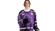 Canadian Goal Sticker by Youngstown Phantoms