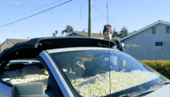 Hungry Sweet Ride GIF by Mega64