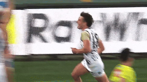 Football Afl GIF by Port Adelaide FC