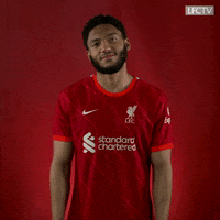 Premier League Fight GIF by Liverpool FC