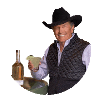 country music Sticker by George Strait