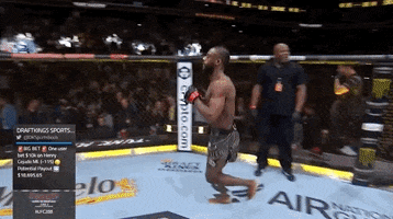 Aljamain Sterling Sport GIF by UFC