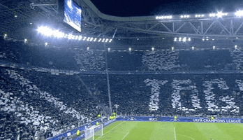 allianz stadium forza juve GIF by JuventusFC