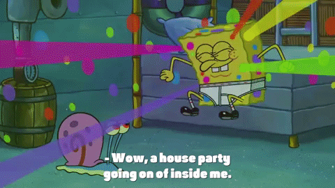 season 10 episode 3 GIF by SpongeBob SquarePants