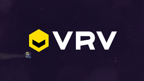 werk excercise GIF by VRV