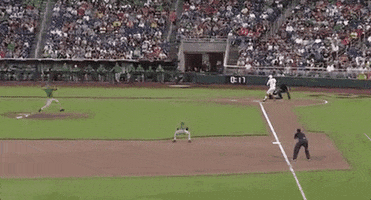 Notre Dame Baseball GIF by NCAA Championships