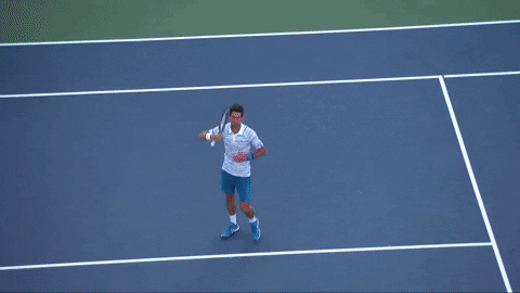 cincytennis giphygifmaker tennis cincinnati atp GIF